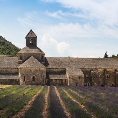 Monastry and a blooming lavender field in Provence