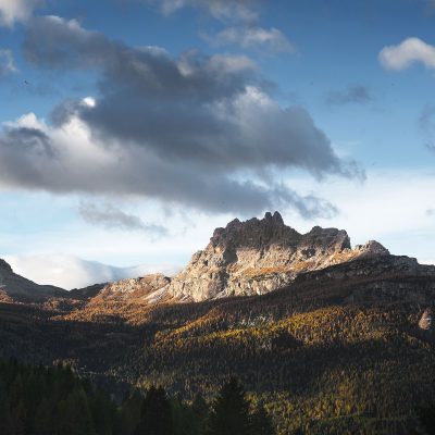 Pine forest of Dolomites during Fall