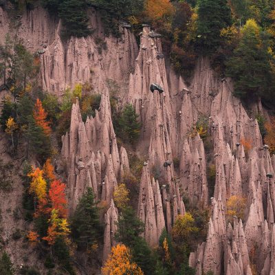 Earth pyramids or hoodoos of Dolomites surround by golden trees during fall