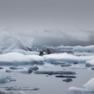 Seal relaxing in an Iceberg in Jokulsarlon in Iceland