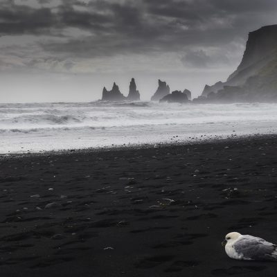 Black sand beahc of Vik in Iceland on a cloudy day