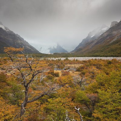 Patagonian valley at fall during a cloudy day