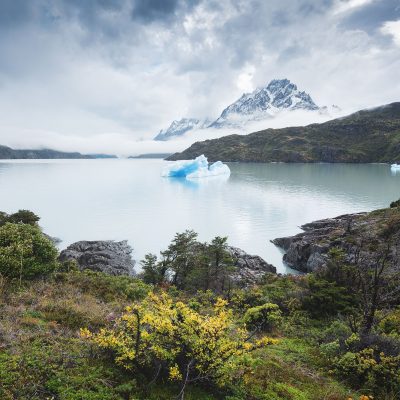 An iceberg from Grey Glacier drfifting in Lago Grey
