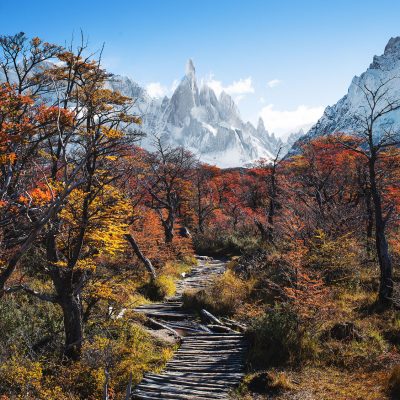 Hiking in Patagonian forest to Cerro Torre on a Fall day