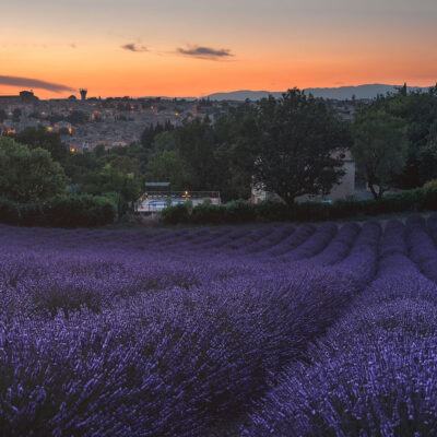 Lavender field with Valensole town in background at sunset