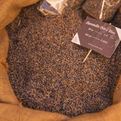 Lavender from Provence